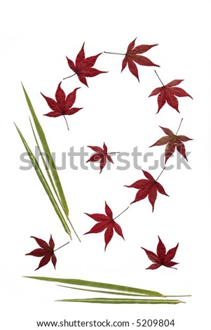 Abstract design of maple and bamboo leaves against a white background.
