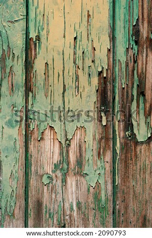 Peeling green and cream paint on old oak wooden planks.