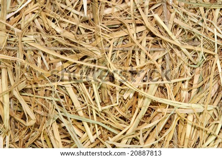 Dried straw tied with natural fiber string.