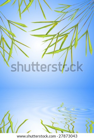 Bamboo leaf grass abstract with reflection over water, set against a blue sky background with white glow.