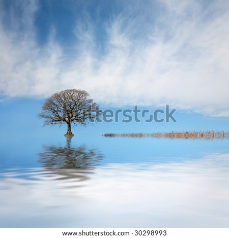 Oak tree in winter with submerged fence and reflection over rippled water with a blue sky and clouds to the rear.