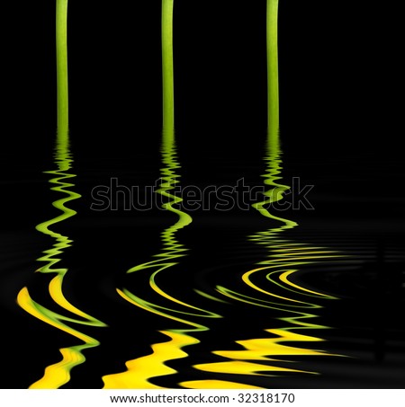 Abstract of green lines and yellow wave forms in rippled water, over black background.
