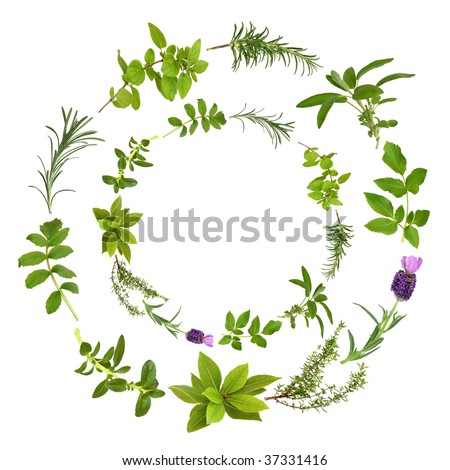Medicinal and culinary herbs in a circular design, over white background.