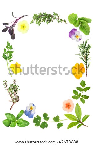 Flowers and herb leaf selection forming an abstract border, over white background.