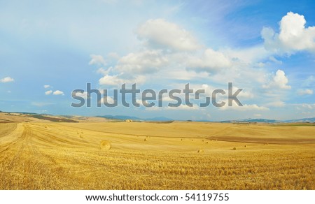 wheat field in italy, tuscany after harvest, great sky