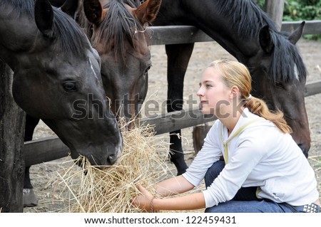 teenage girl feeding horses in the farm