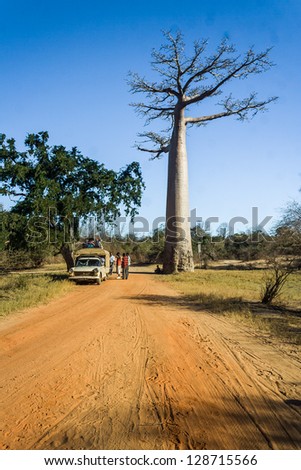 MORONDAVA, MADAGASCAR, JUL 3 : Unidentified malagasy people traveling in the bush taxi (taxi brousse) stopped beside the large baobab on Jul 3, 2006, near Morondava  in western Madagascar