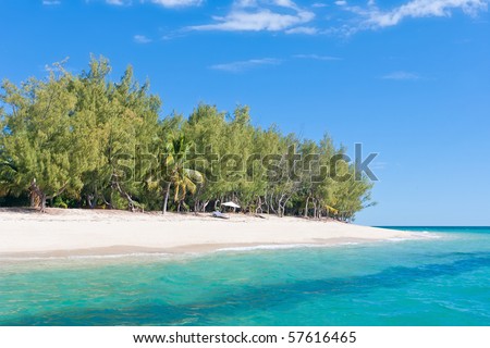 Paradise island. Fine white sand, casuarina, palm tree and turquoise water