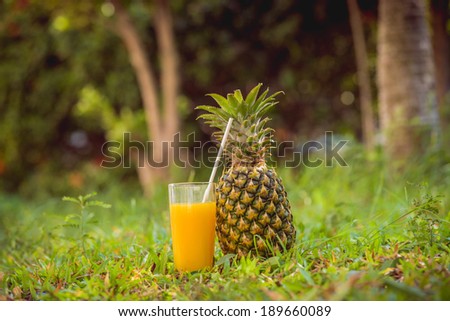 pineapple, cocktail, juice in the exotic garden