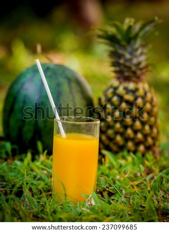 pineapple and watermelon, cocktail, juice in the exotic garden