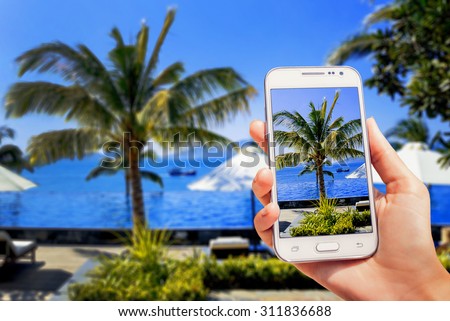 Nice view of the sea with palm trees on the screen. Phone in the hand.