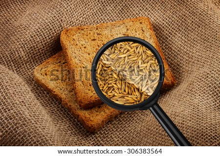 View through a magnifying glass to two toast bread. Wheat.
