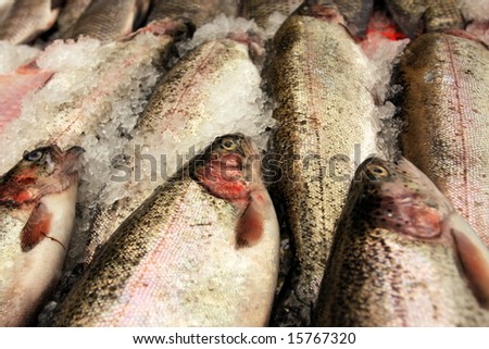 Frozen Fish in a market