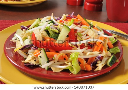 A Chinese chop salad with bean sprouts and fried won ton strips