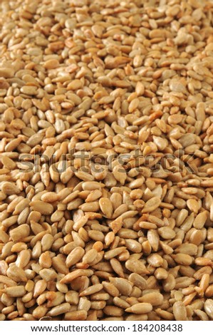 A vertical background of hulled, roasted and salted sunflower seeds