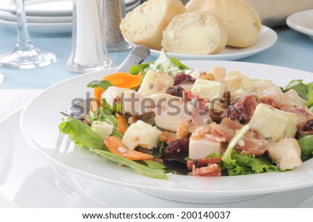 Closeup of a chicken salad with dried cherries and bacon bits