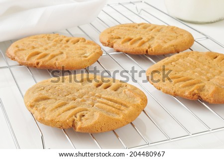 Home baked peanut butter cookies on a cooling rack.  Shallow depth of field