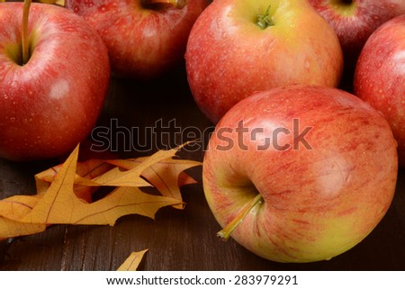 Harvest fresh Gala apples on a rustic wooden table