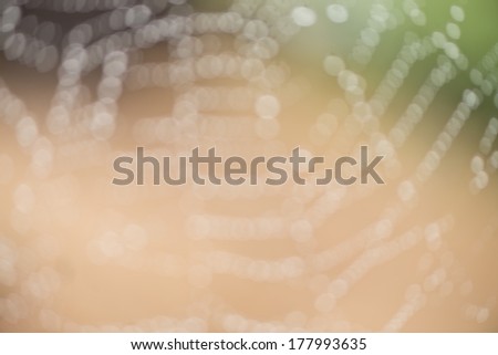 abstract blurred image of spider\'s web with soft tones of green and taupe