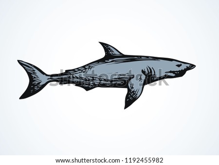 Giant grey Shark isolated on white backdrop. Freehand outline black ink hand drawn logotype emblem pictogram sketchy in art retro scribble style pen on paper. Closeup side view with space for text