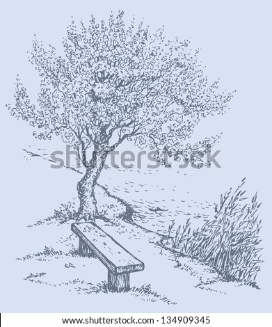 Vector landscape. Old bench near the reeds on the bank of the river under a flowering tree in spring