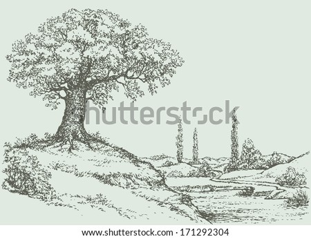 Vector landscape. Mighty oak tree grows on top of a hill above the river valley