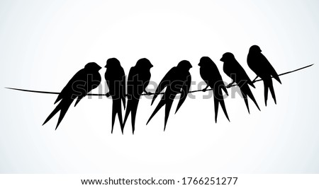 Closeup view cute lone martlet set. Light paper artwork text space backdrop. Outline dark ink pen hand drawn much electric cable logo pictogram emblem design. Modern artist doodle contour print style