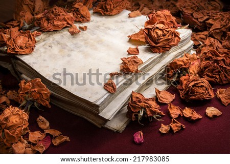 Delicate romantic backdrop in potpourri style. Dry orange roses scattered on  obsolete open yellowed and weathered notebook, on dark burgundy velvet. Close-up view with space for text on greeting card
