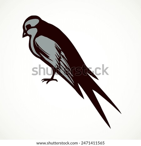 Closeup view cute lone martlet set. Light paper artwork text space backdrop. Outline dark ink pen hand drawn much electric cable logo pictogram emblem design. Modern artist doodle contour print style