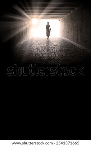 Similar – Image, Stock Photo Path through stone gate overgrown with ivy