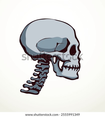 Closeup front view old natur craniu noggin hole part spine care scan x ray life death logo set Hand drawn line xray dead spinal column injury ill pain exam vintage abstract outline art cartoon concept