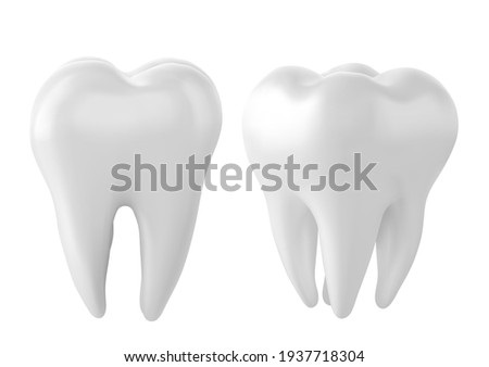 Dental model of a tooth, illustration as a concept of dental examination of teeth, dental health and hygiene.
