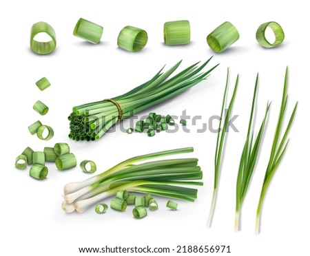 Set of green onions. Vector illustration. Foto stock © 