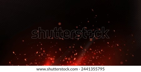 burning embers in the dark vector illustration