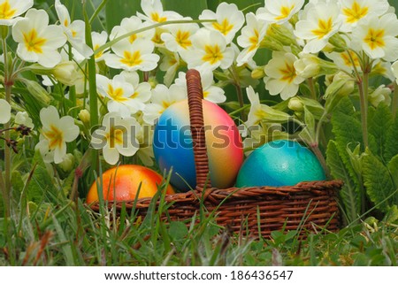 Easter eggs in a easter basket, with flowers in a meadow