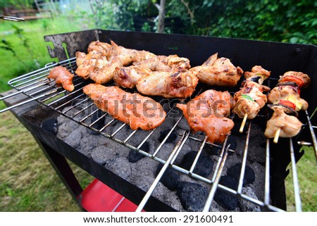 Delicious food grilling on a grill in garden