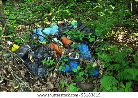Environmental problem. Garbage dump in the forest