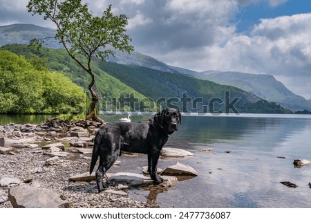 Similar – Foto Bild Bergsee in Snowdonia, Wales