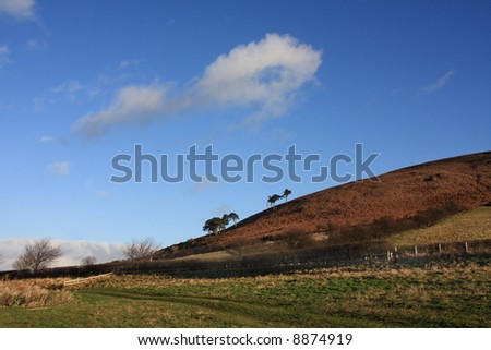 View to the Doddington hill with trees on the skyline