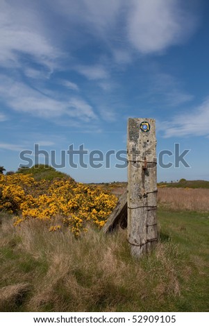 Anglesey Coastal Path in spring with yellow gorse out Inland Sea Anglesey North Wales
