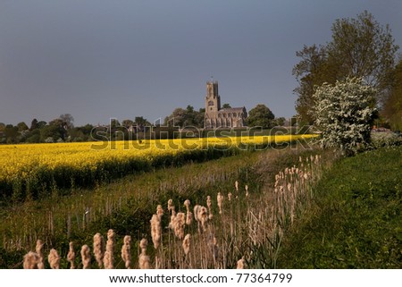 Fotheringhay church with a yellow rapeseed field where Mary Queen of Scots was executed St Mary Church 13th century