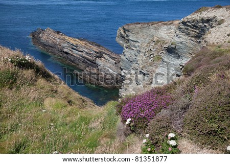 Coastal path around Anglesey near to South Stack Lighthouse Holy Island North Wales UK