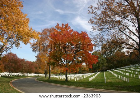Arlington Cemetery in Autumn