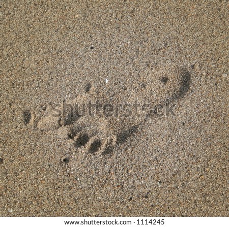 Child\'s Footprint in Sand
