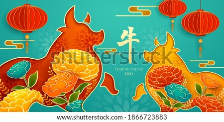 Paper cut of two oxen shape with paper graphic of flowers and red lantern. Happy Chinese New Year 2021. Year of Ox. Translation - Ox.