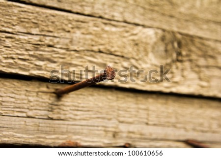 Rusty nail hammered into a wooden board, focus on a nail hat
