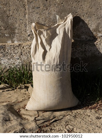 Bag with cement