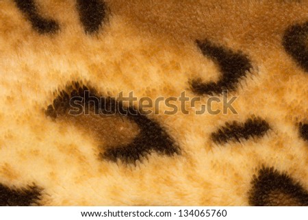 background from a fabric tiger skin