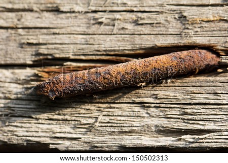 Rusty nail in wood. macro