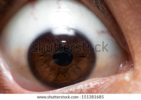 Closeup of human eye, macro